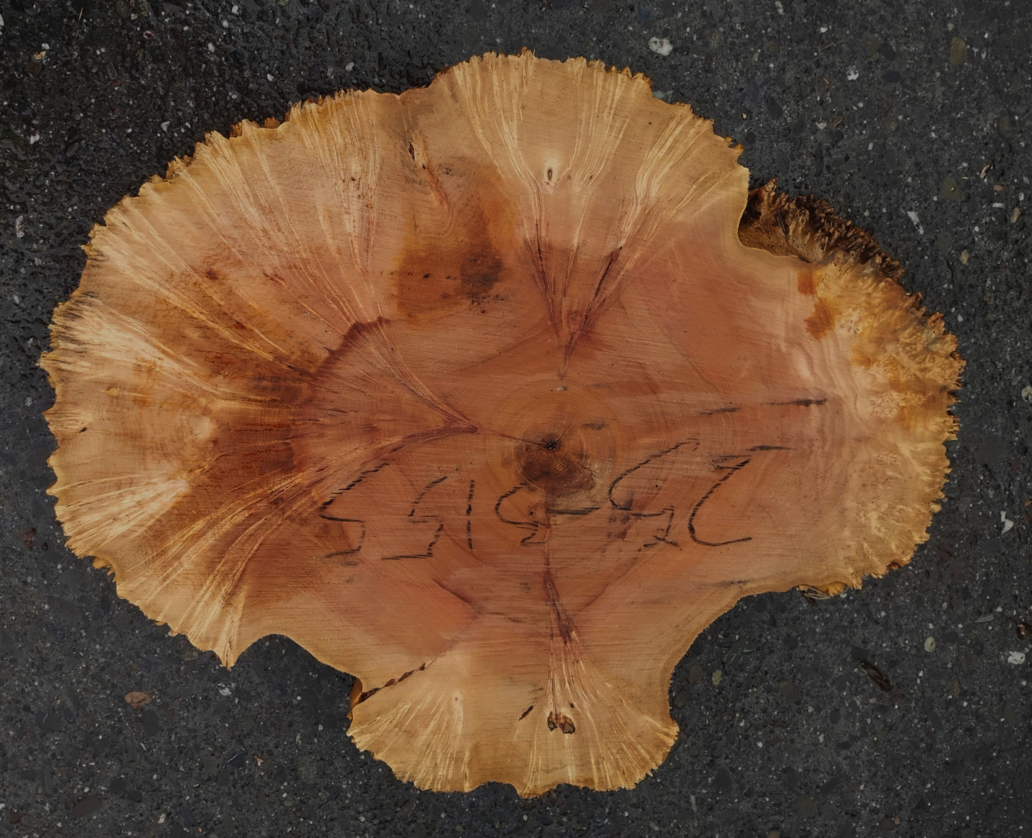Maple Burl | Live Edge | River Table | DIY | Ma25-3155