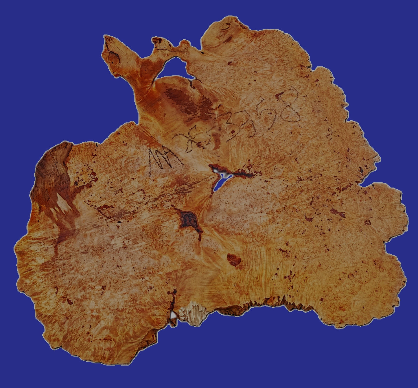 Maple Burl | Live Edge | River Table | DIY | Craft Wood | Ma25-3358