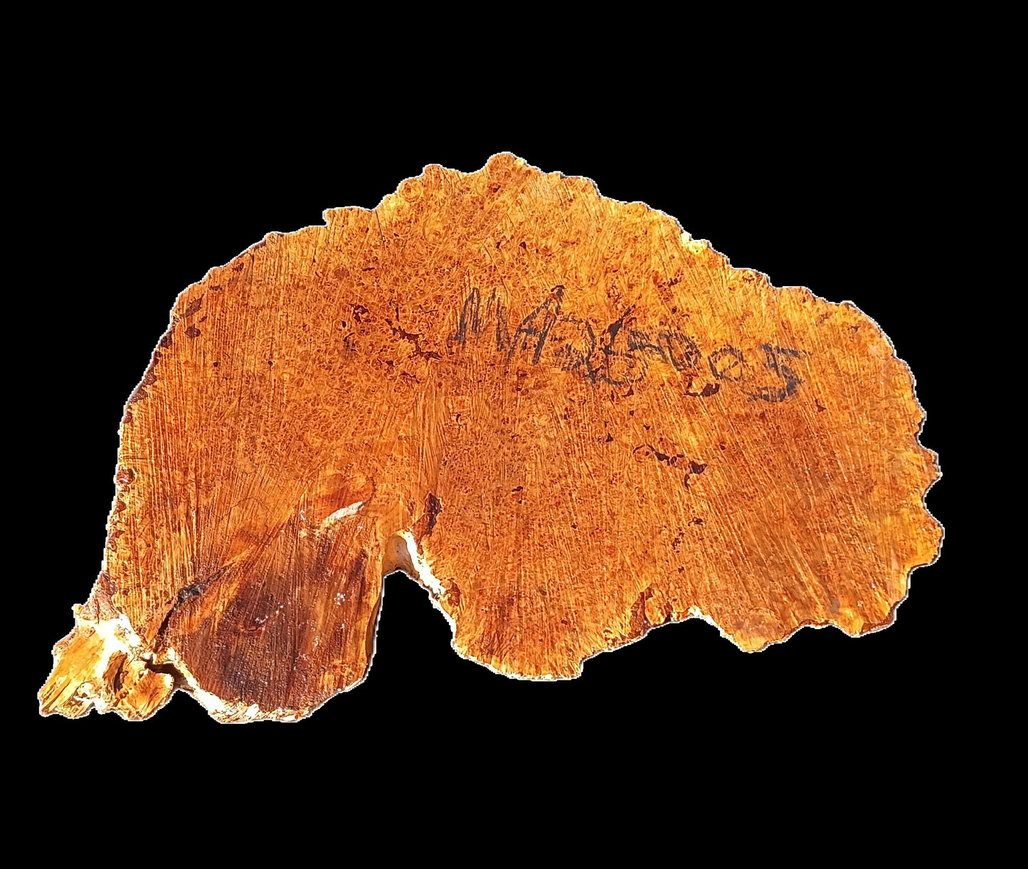 Maple Burl | Live Edge | River Table | DIY | Craft Wood | Ma26-0005