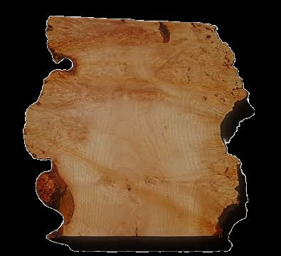 Maple Burl slab | DIY | River Table | Craft-wood | ma26-3759