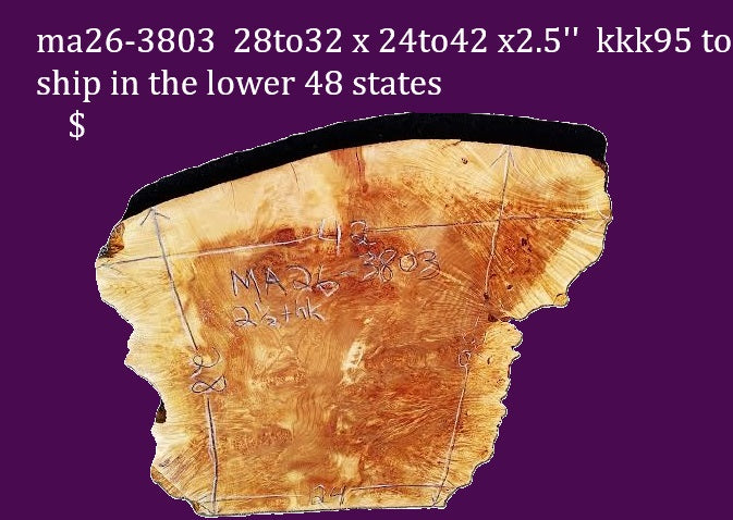 Large Live Edge Maple Burl Slab — MA26-3803 — 28–32" × 24–42" × 2.5" Thick — Statement Furniture Wood