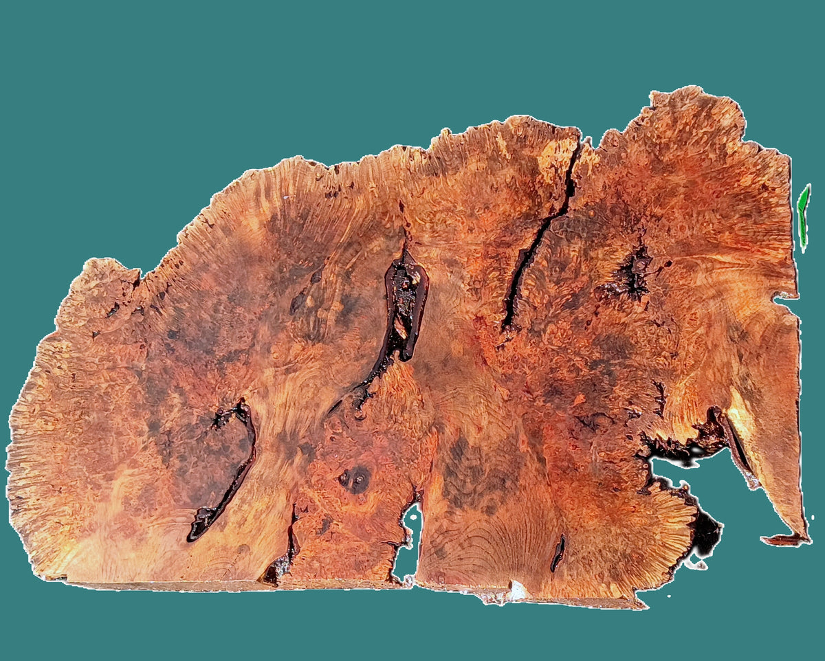 Maple Burl Slab | DIY | Table | Craft-wood | MA26-3947