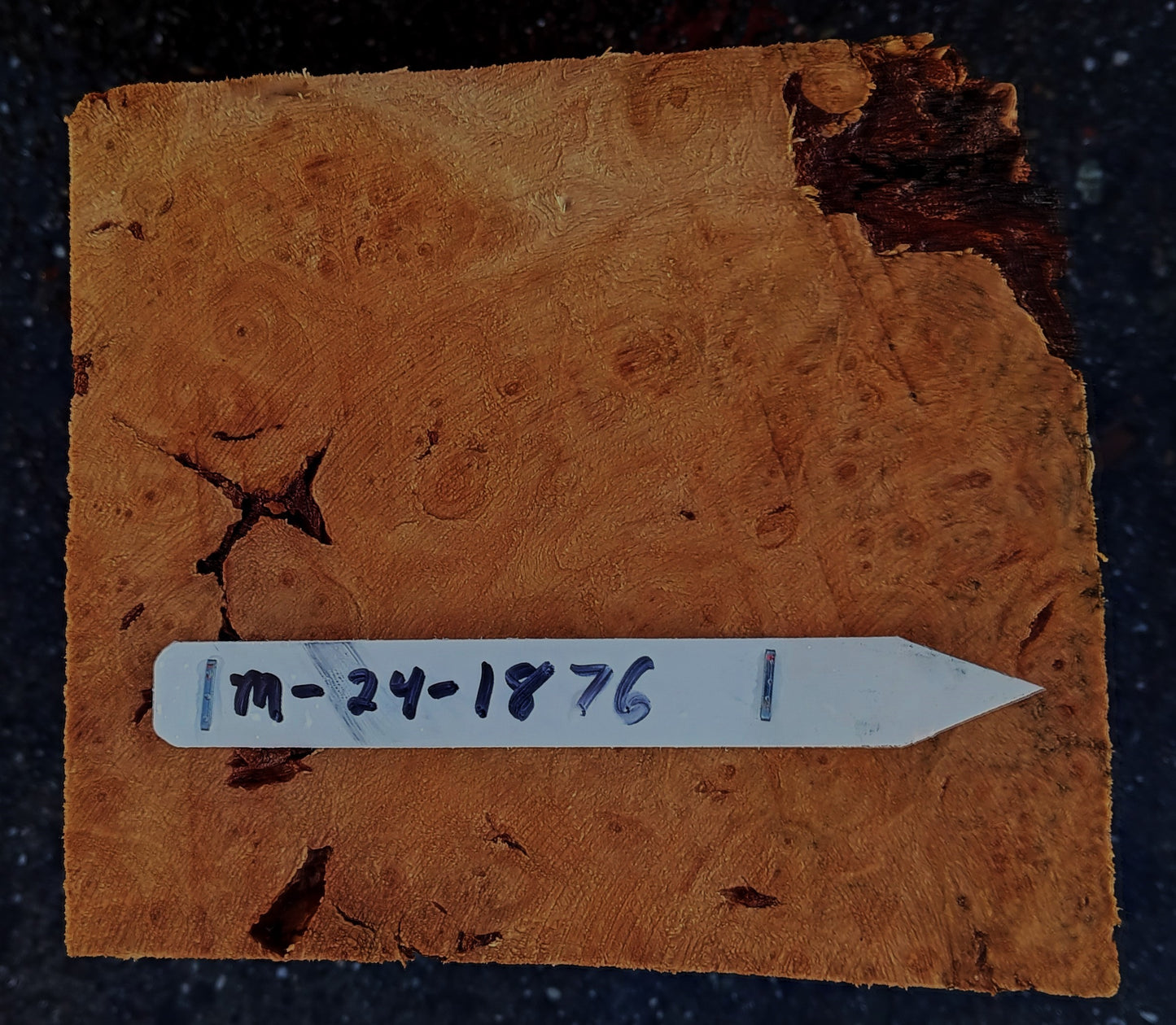 Maple Burl Block | Turning Stock | DIY Crafts | Ma24-1876