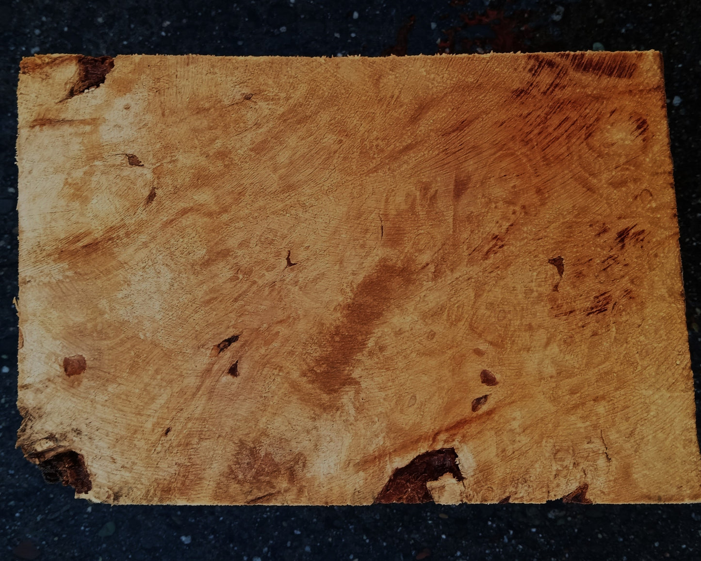 Maple Burl Block | Turning Stock | DIY Crafts | Ma24-1876