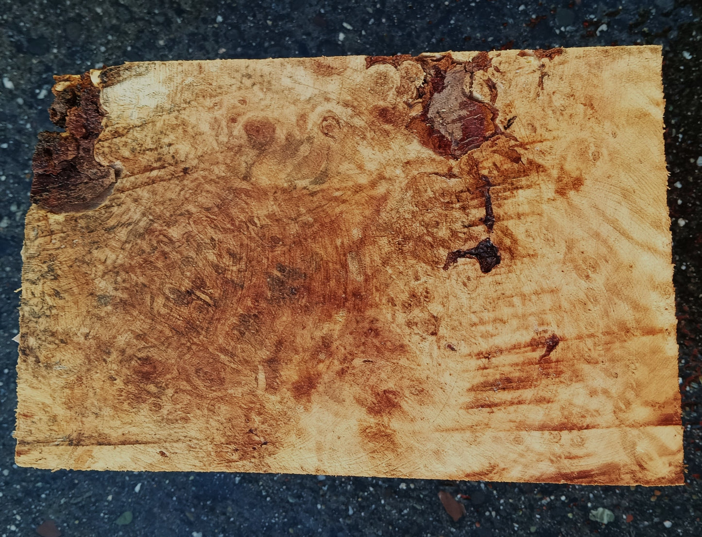 Maple Burl Block | Turning Stock | DIY Crafts | Ma24-1876