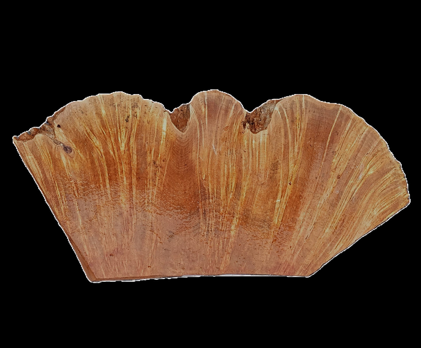 Maple Burl Block | bowl Turning Wood | Craft Wood | DIY | Ma25-2581