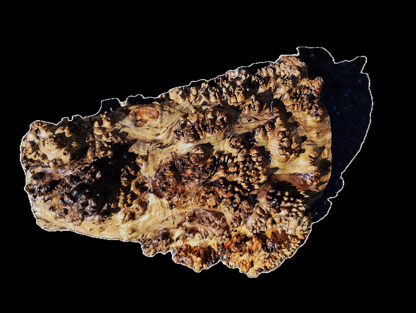 Maple Cap | Maple Burl | DIY | Craft Wood | macap25-3273