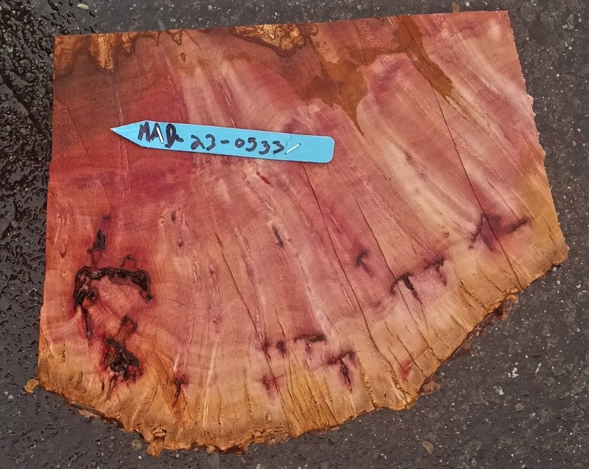 Madrone burl | bowl turning | wood turning | DIY wood crafts | mad23-0533