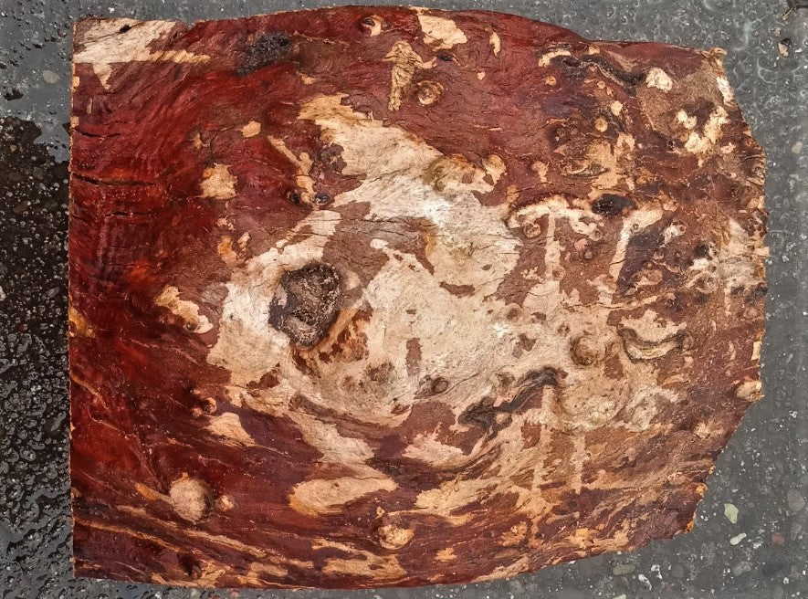 Madrone burl | bowl turning | wood turning | DIY wood crafts | mad23-0533