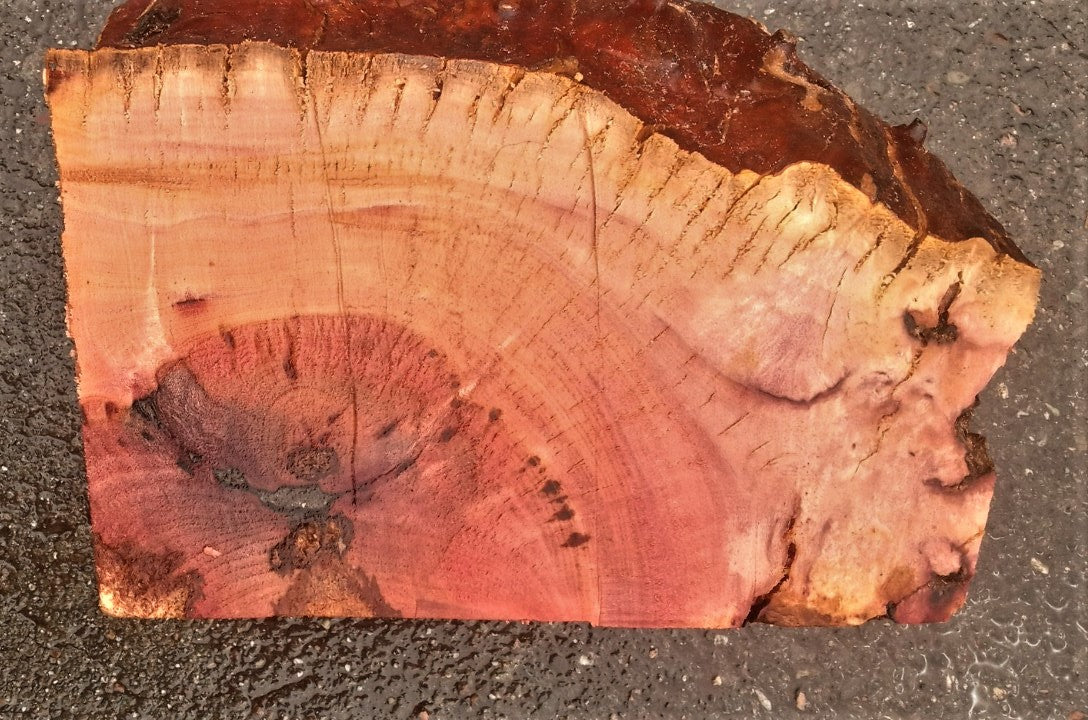 Madrone burl | bowl turning | wood turning | DIY wood crafts | mad23-0533
