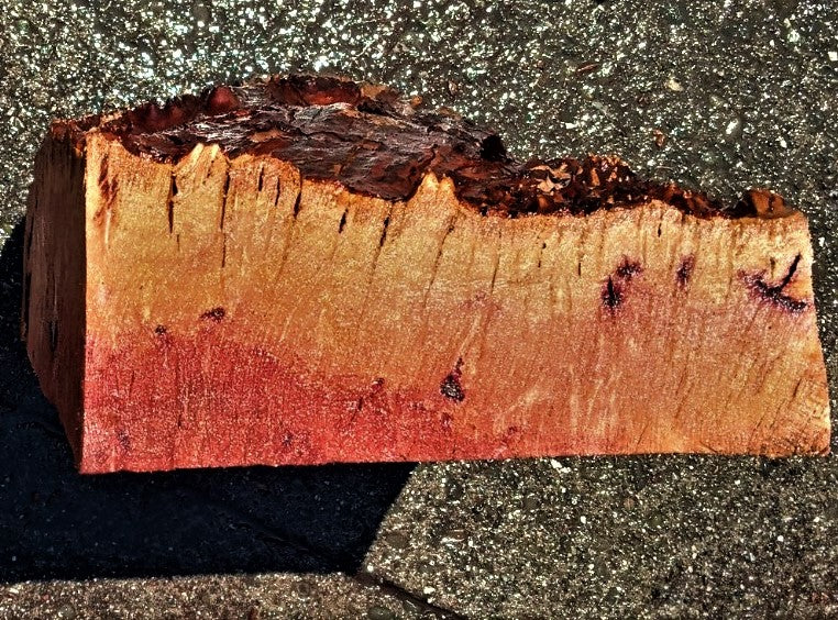 Madrone burl | bowl turning | wood turning | DIY wood crafts | bl23-0311