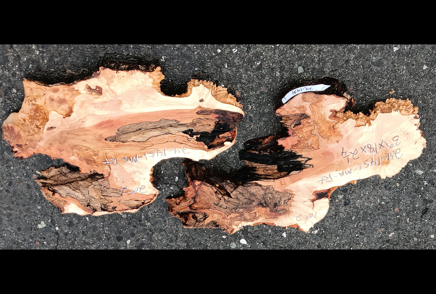 Spalted Maple | River Table | DIY Craft Wood | MA24-1451