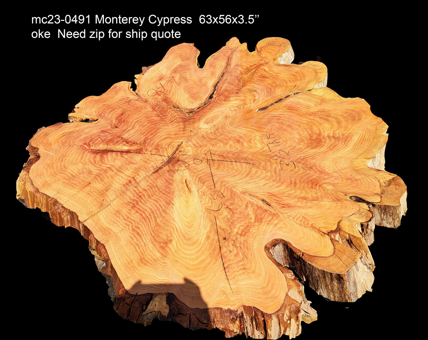 Monterey Cypress | cookie cut | live edge | DIY wood | burl table | r23-0491