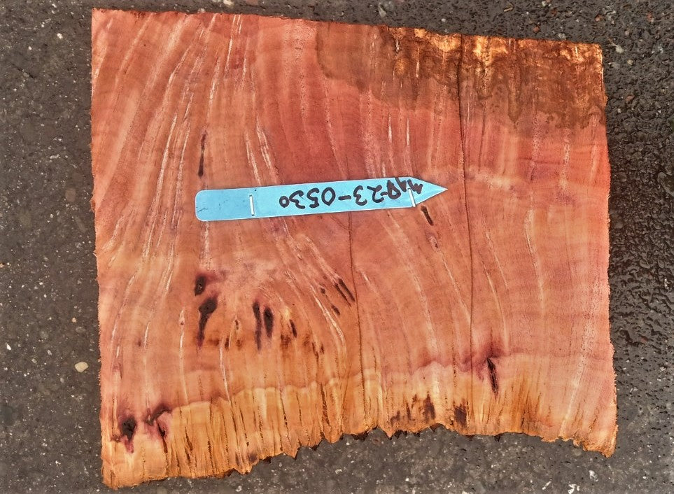 Madrone burl | bowl turning | wood turning | DIY wood crafts | bl23-0530-md