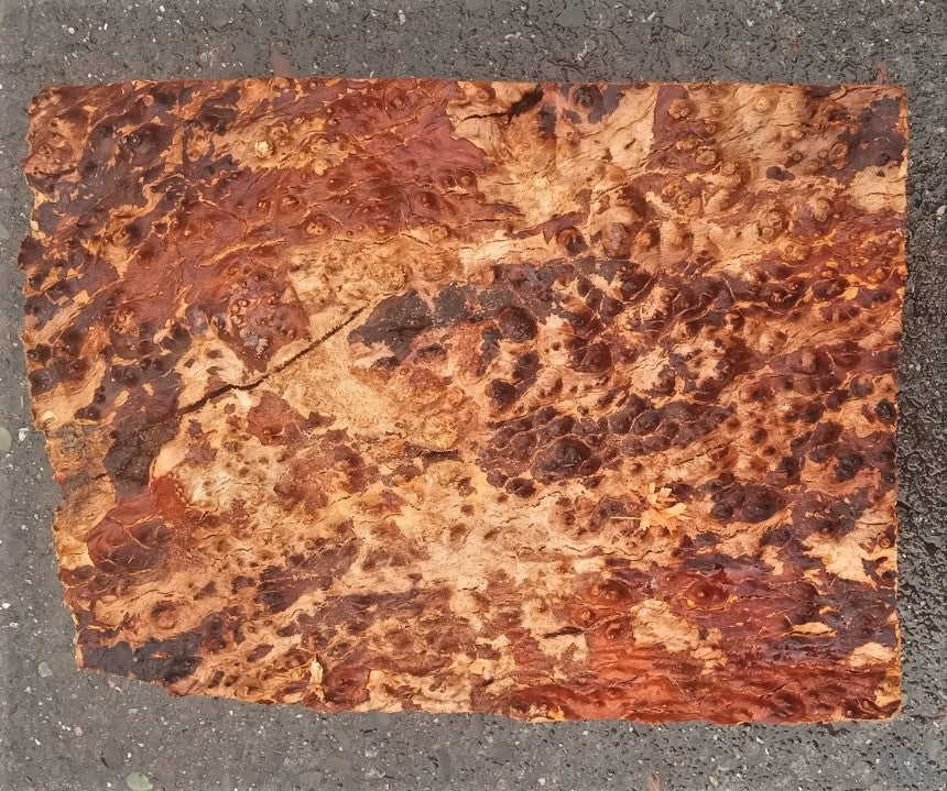 Madrone burl | bowl turning | wood turning | DIY wood crafts | bl23-0530-md