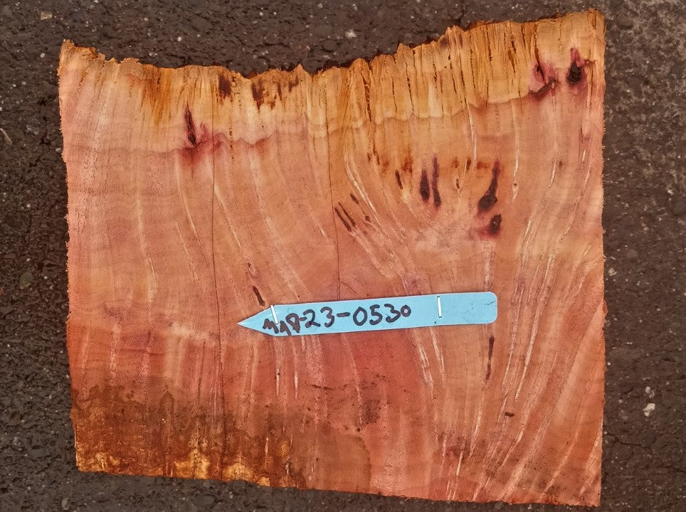 Madrone burl | bowl turning | wood turning | DIY wood crafts | bl23-0530-md