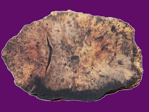 myrtle burl | river table | DIY | Live edge slab | mrt21-0328