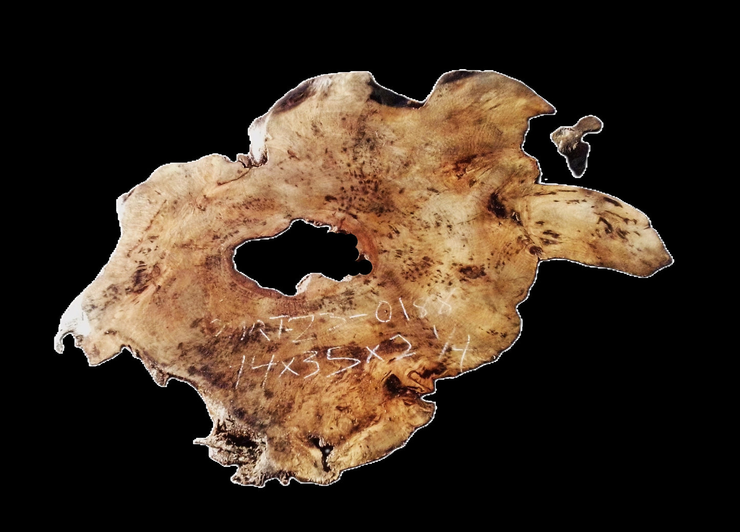 Myrtle Burl Slab | DIY | Table | Craft Wood | River Table | Mrt25-0188
