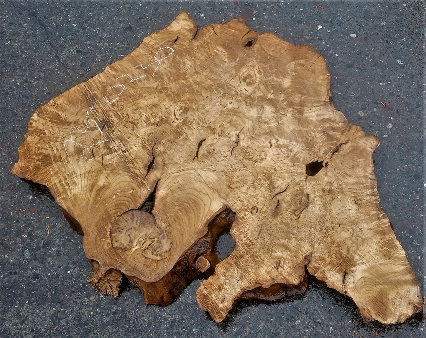 Myrtle burl | burl table | epoxy river table | DIY | mrt23-0230