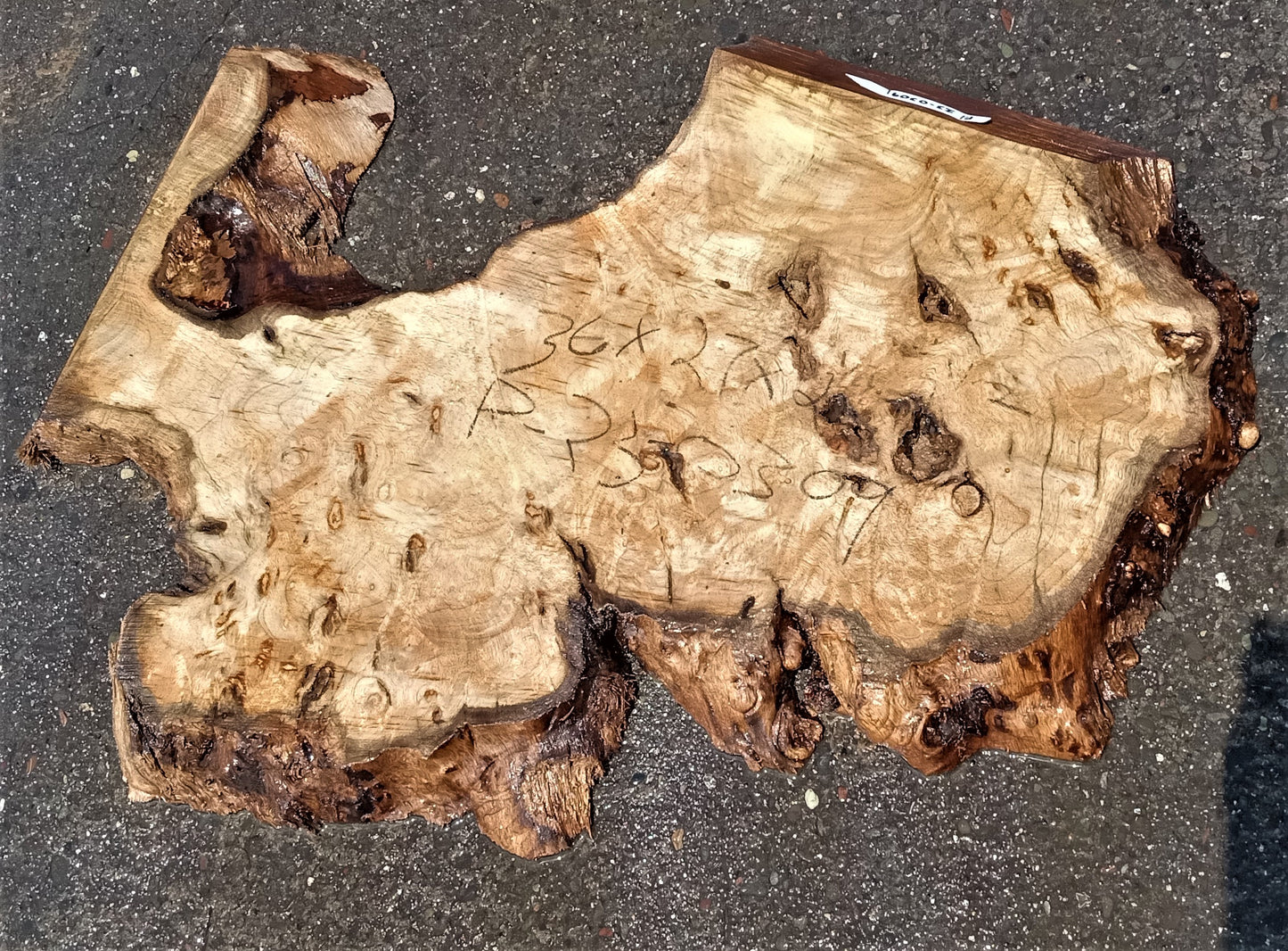 Myrtle burl slab | live edge | DIY wood crafts | epoxy river table | mrt23-0309