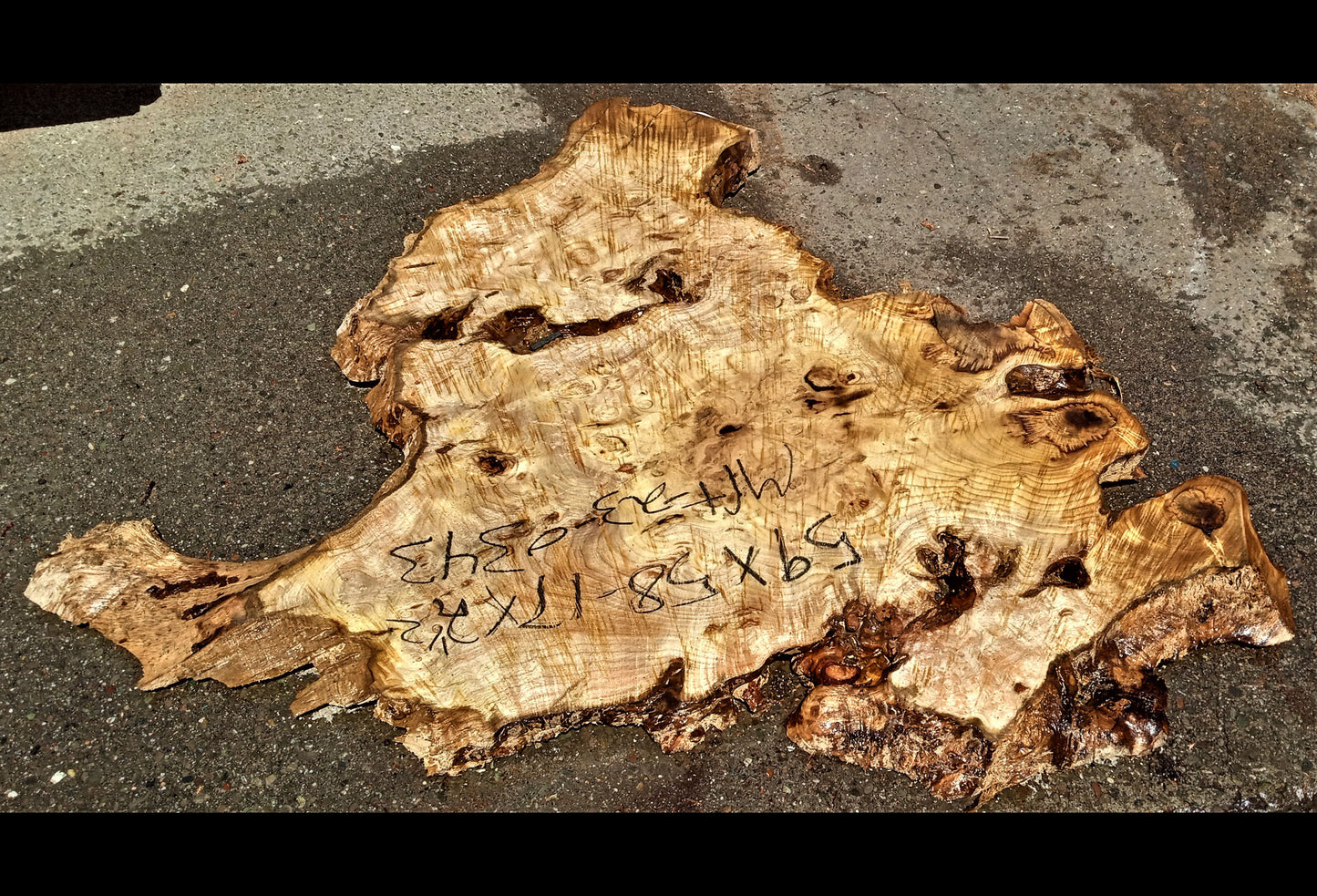 Myrtle burl | burl table | exotic wood | epoxy river table | DIY | mrt23-0343
