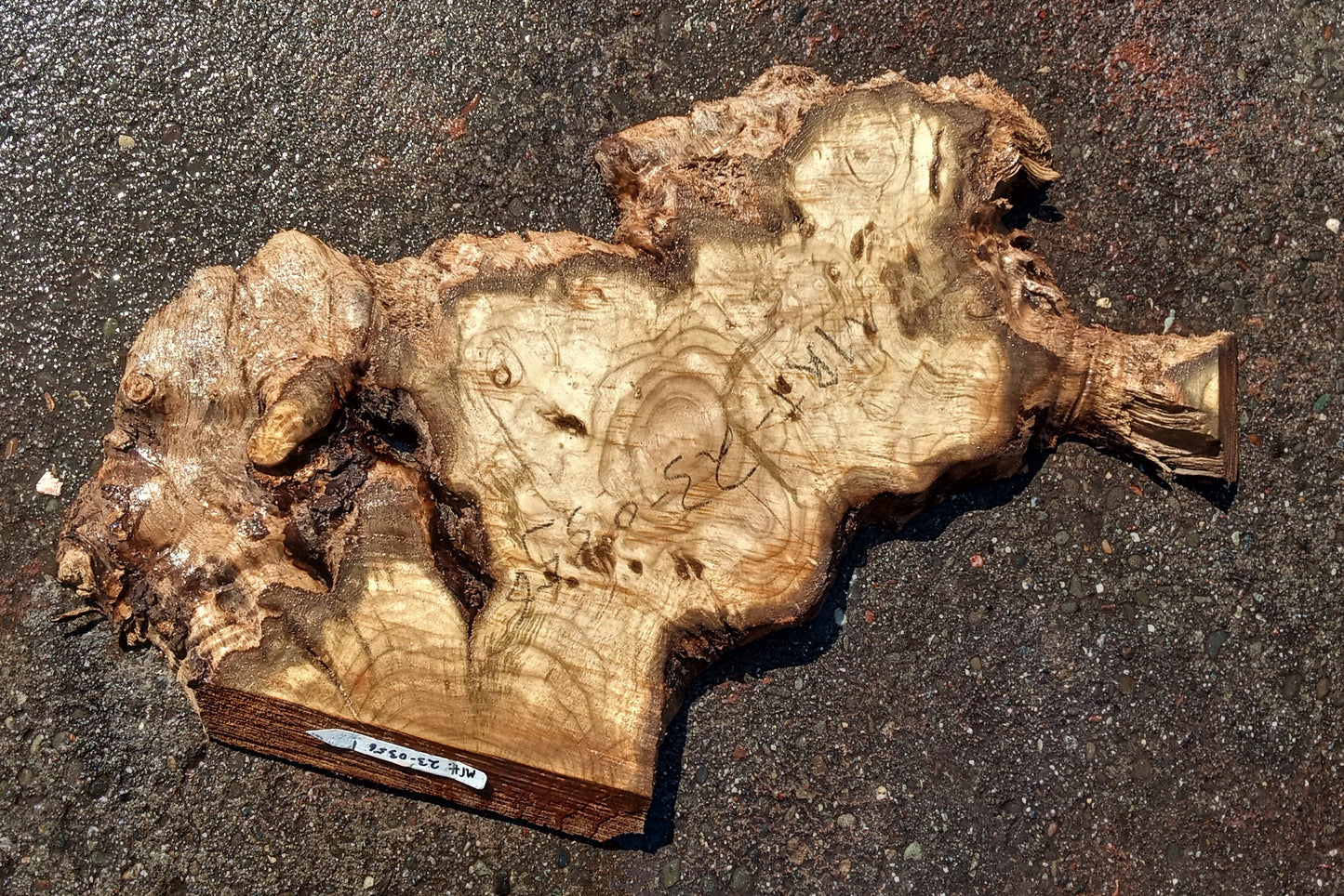 Myrtle burl | burl table | epoxy river table | DIY | mrt23-0356