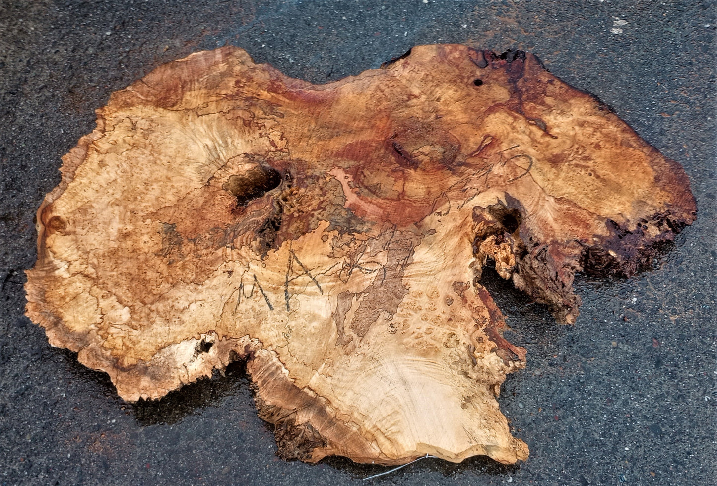 Maple burl | burl table | exotic wood | epoxy river table | DIY | ma23-0375