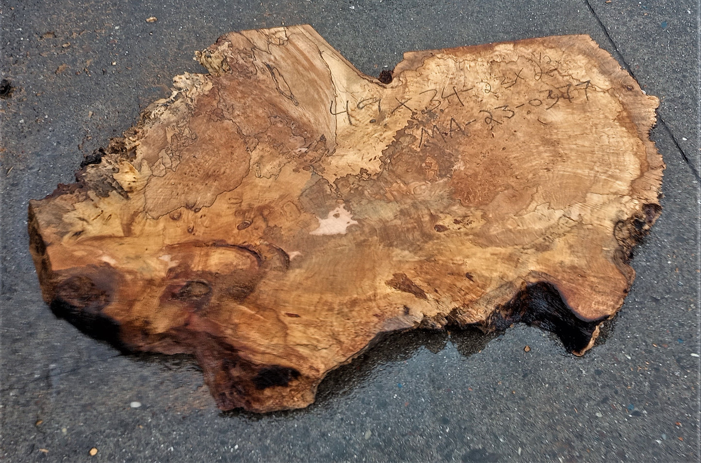 Myrtle burl | burl table | exotic wood | epoxy river table | DIY | mrt23-0377