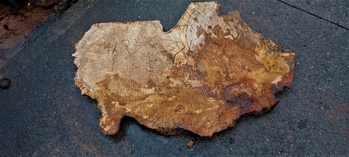 Myrtle burl | epoxy river table | exotic wood | Bay Laurel | DIY | ma23-0381