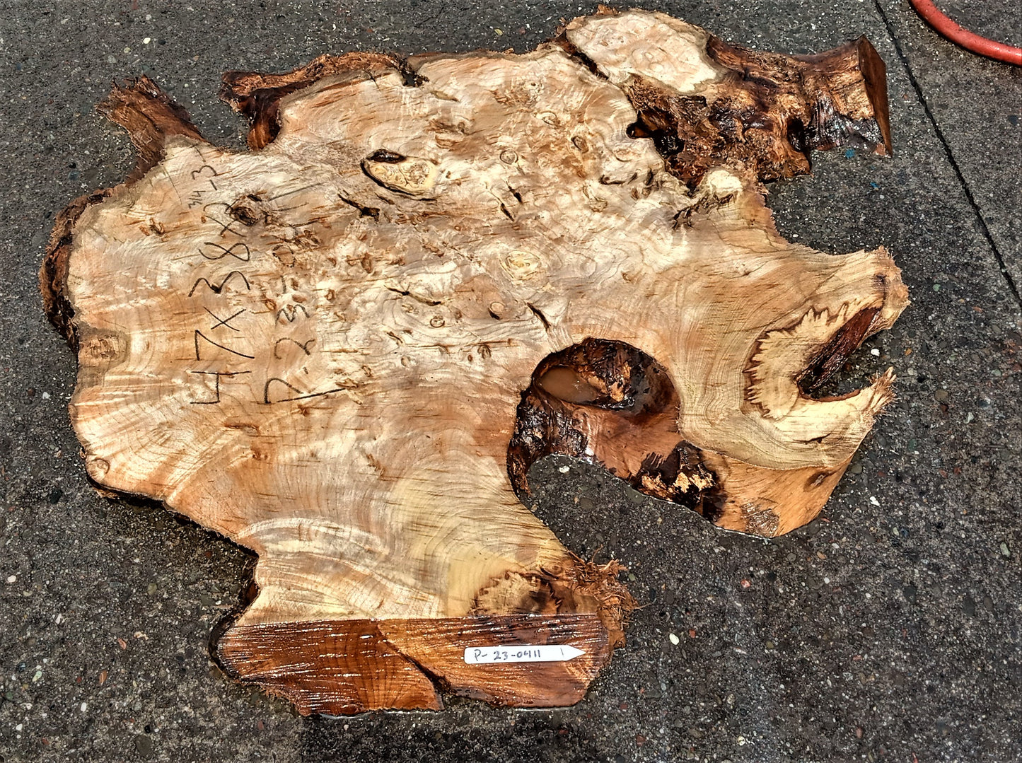 Myrtle burl slab | live edge slab | DIY wood crafts | burl table | mrt23-0411