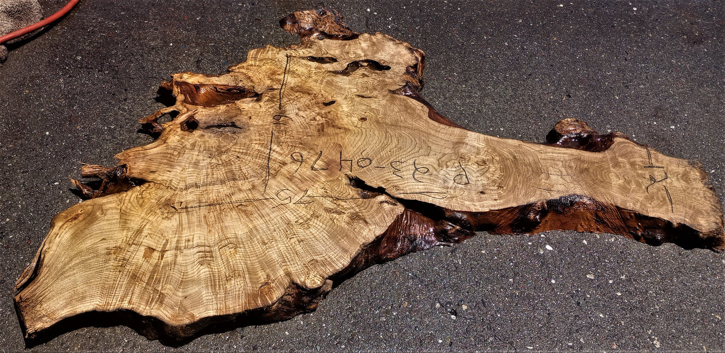 Myrtle burl | burl table | epoxy river table | live edge slab | mrt23-0476