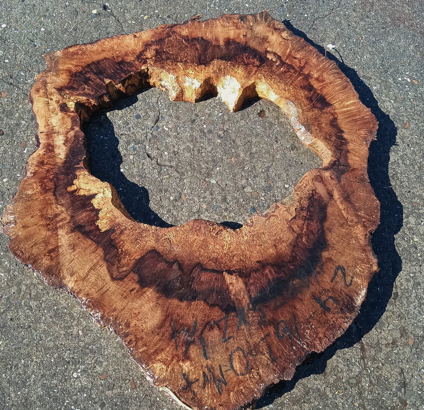 Myrtle Wood Burl Slab | Bay Laurel | Live Edge | DIY | Mrt24-1130