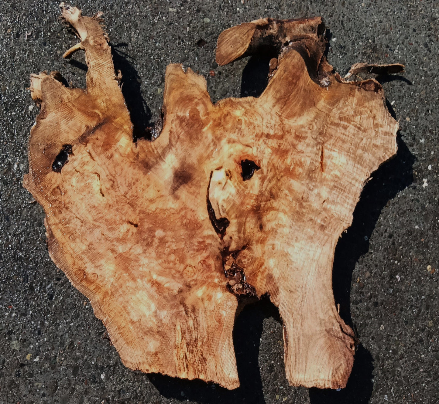 Epoxy River Table | DIY Crafts | Myrtle Burl | MRT24-1353