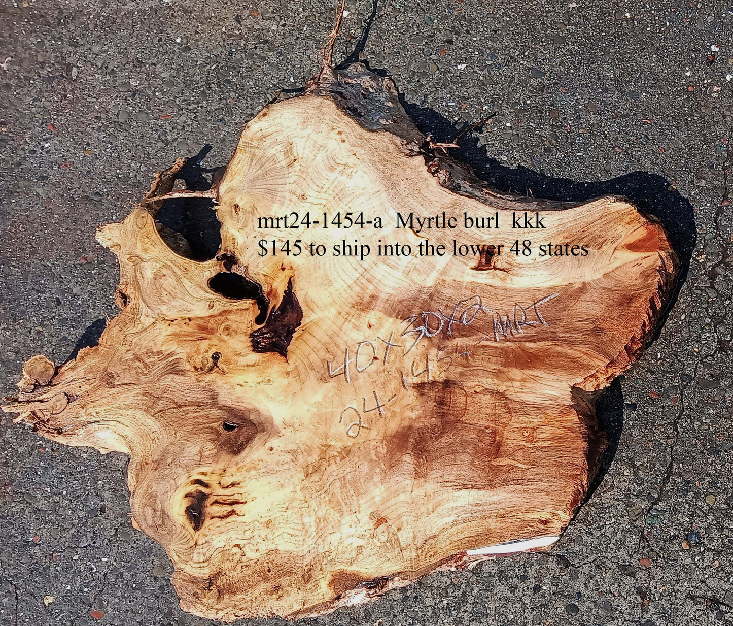 Myrtle Burl Slab | Desk | DIY | Table Slab | Mrt24-1454