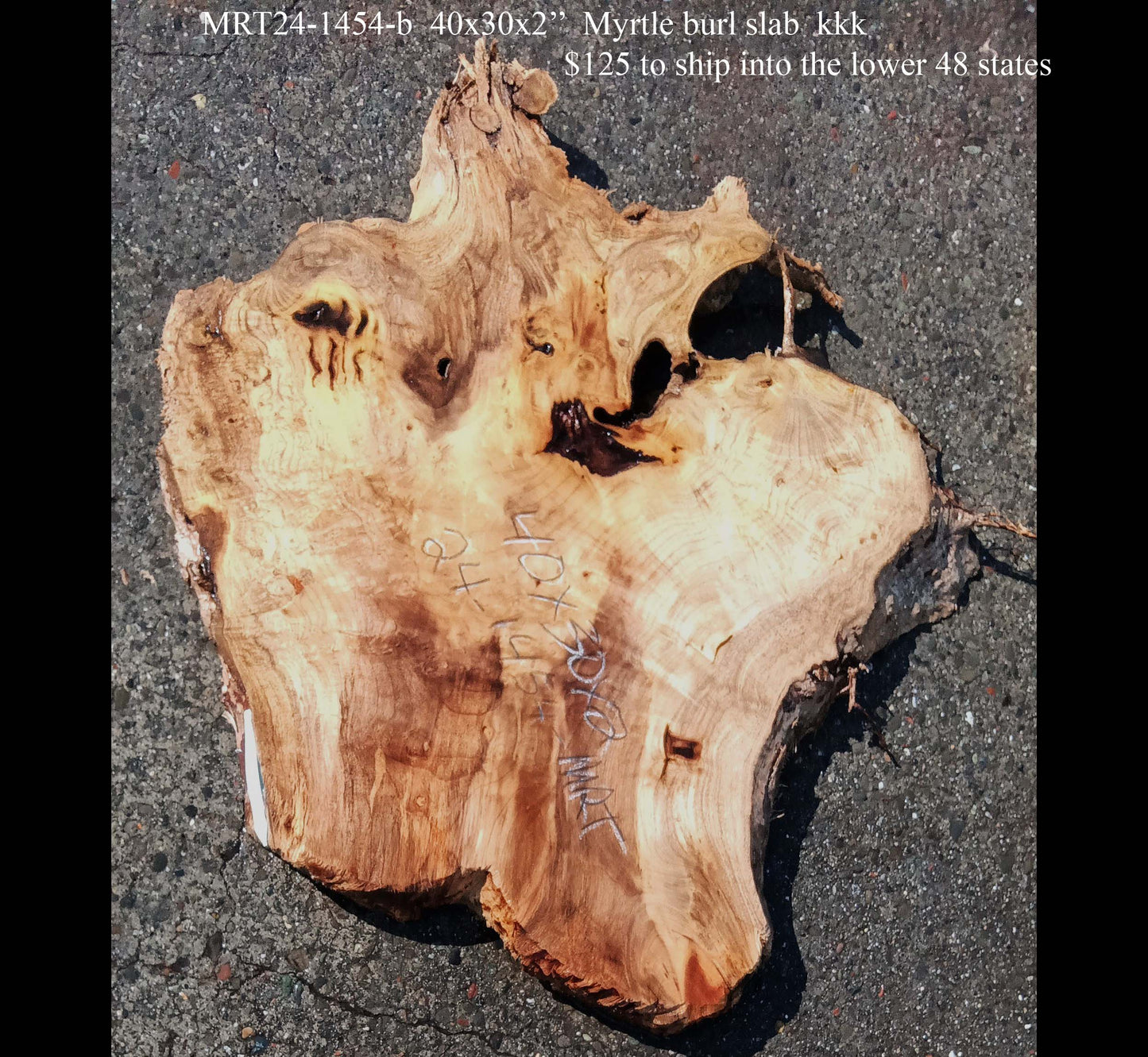 Myrtle Burl Slab | Desk | DIY | Table Slab | Mrt24-1454