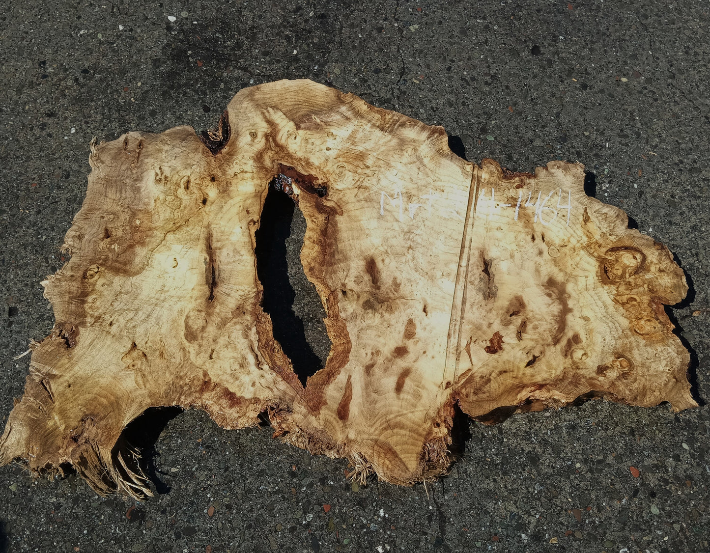 Epoxy River Table | DIY Crafts | Myrtle Burl | MRT24-1464