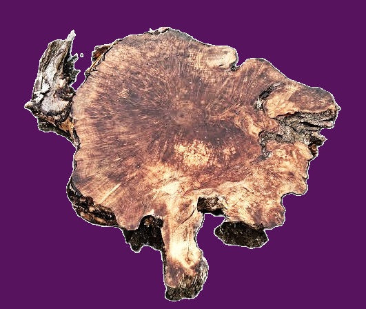 myrtle burl | river table | DIY | Live edge slab | mrt24-1667