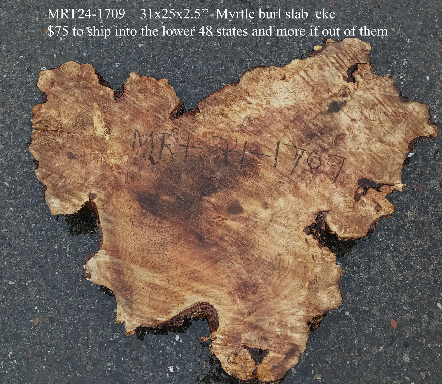 Myrtle Burl Slab | DIY Crafts | Epoxy Design Idea | Mrt24-1709