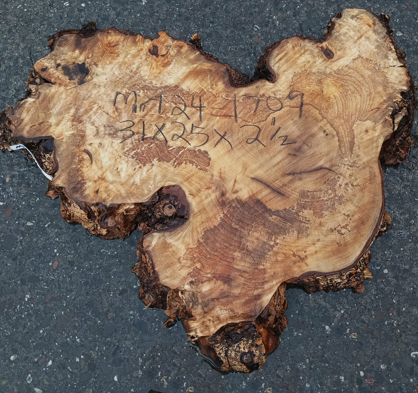 Myrtle Burl Slab | DIY Crafts | Epoxy Design Idea | Mrt24-1709