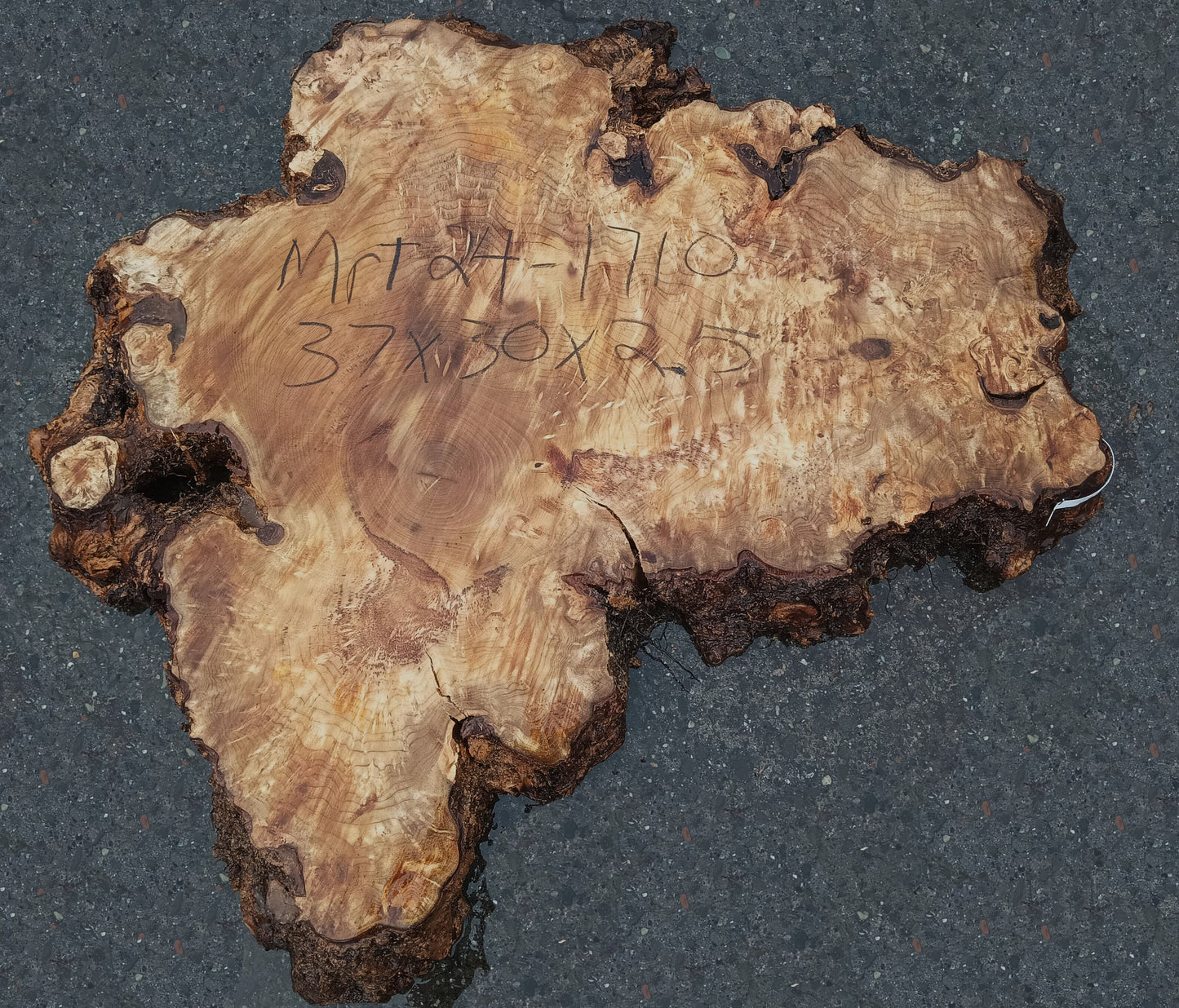 Myrtle Burl Slab | DIY Crafts | Epoxy Design Idea | Mrt24-1710