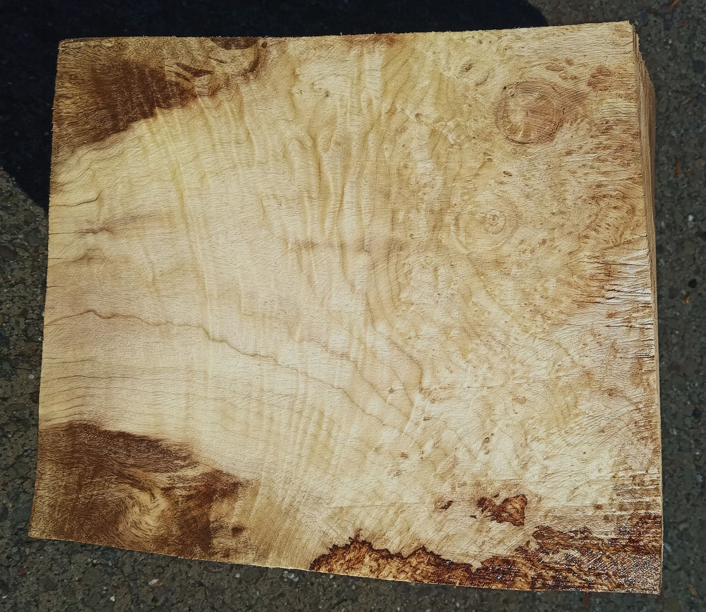 Myrtle Burl Cap | Craft Wood | DIY | Bowl Turning | Ma24-1792