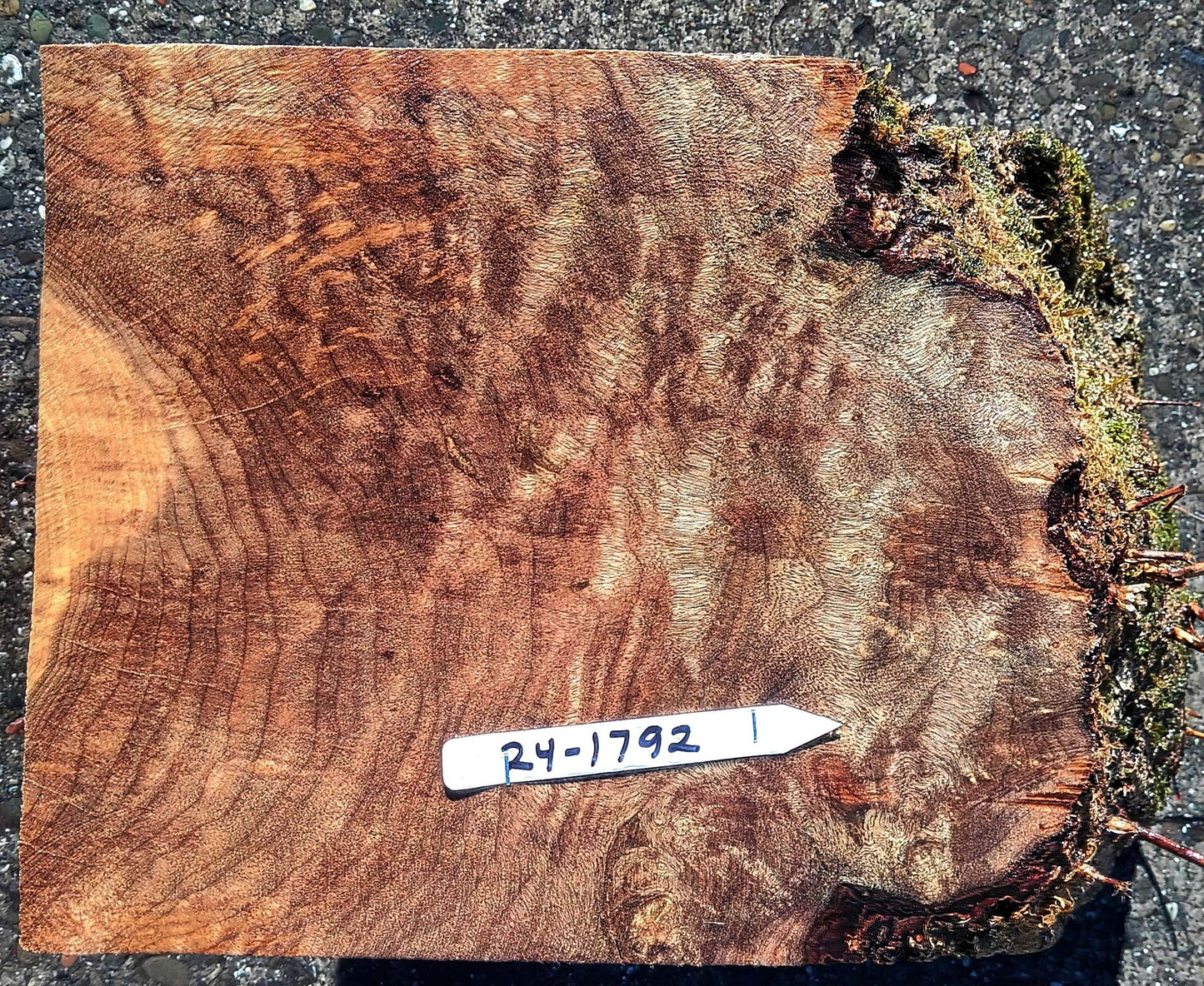 Myrtle Burl Cap | Craft Wood | DIY | Bowl Turning | Ma24-1792