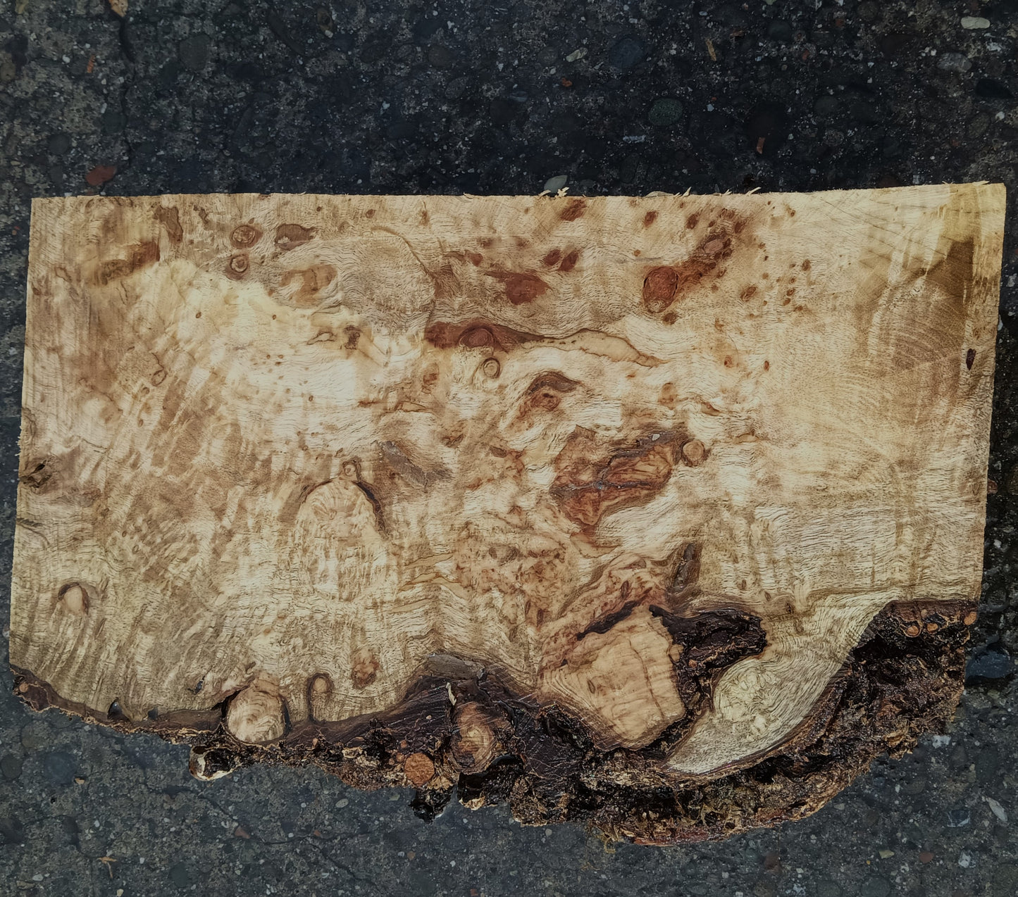 Myrtle Burl | Craft Wood | Bowl Turning | Mrt24-1802