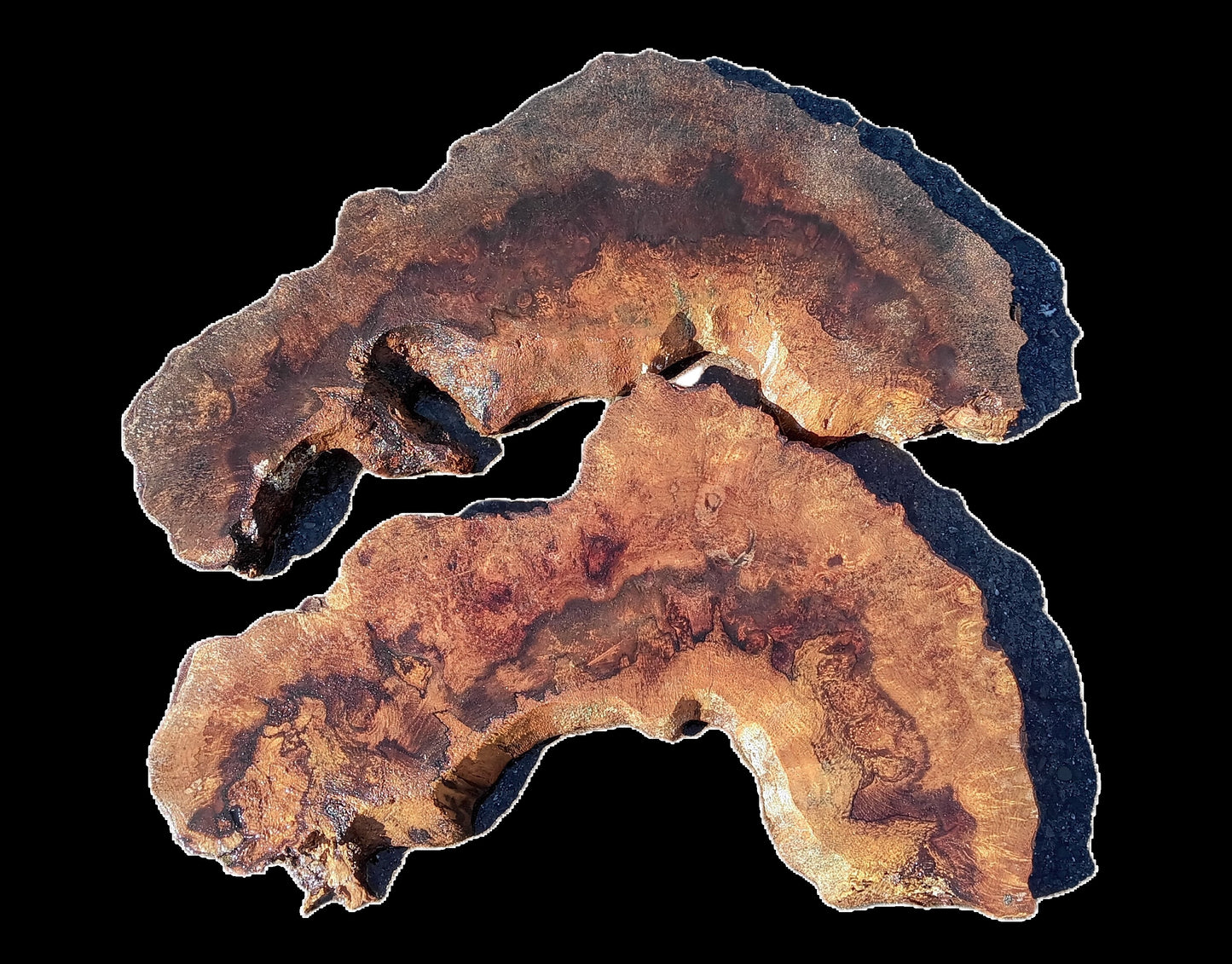Myrtle Burl Slab | DIY | Table | Craft Wood | River Table | Mrt25-2251