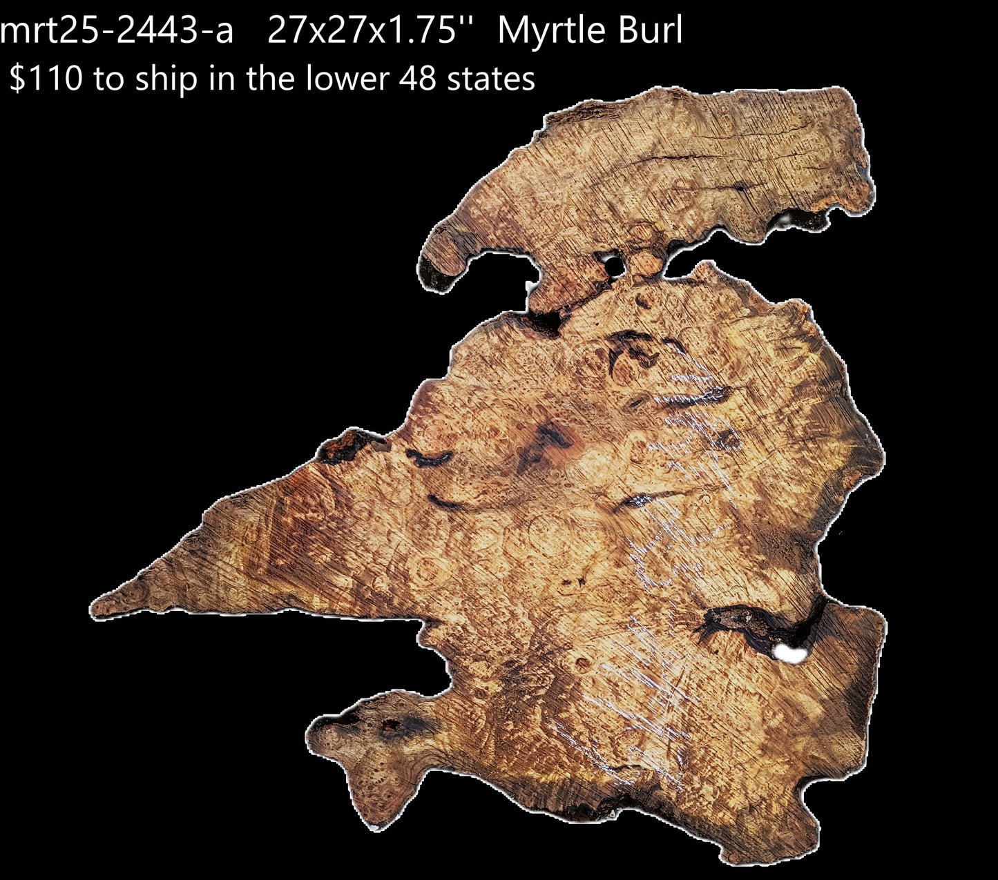 Myrtle Burl Slab | Live Edge | River Table | DIY | Mrt25-2443