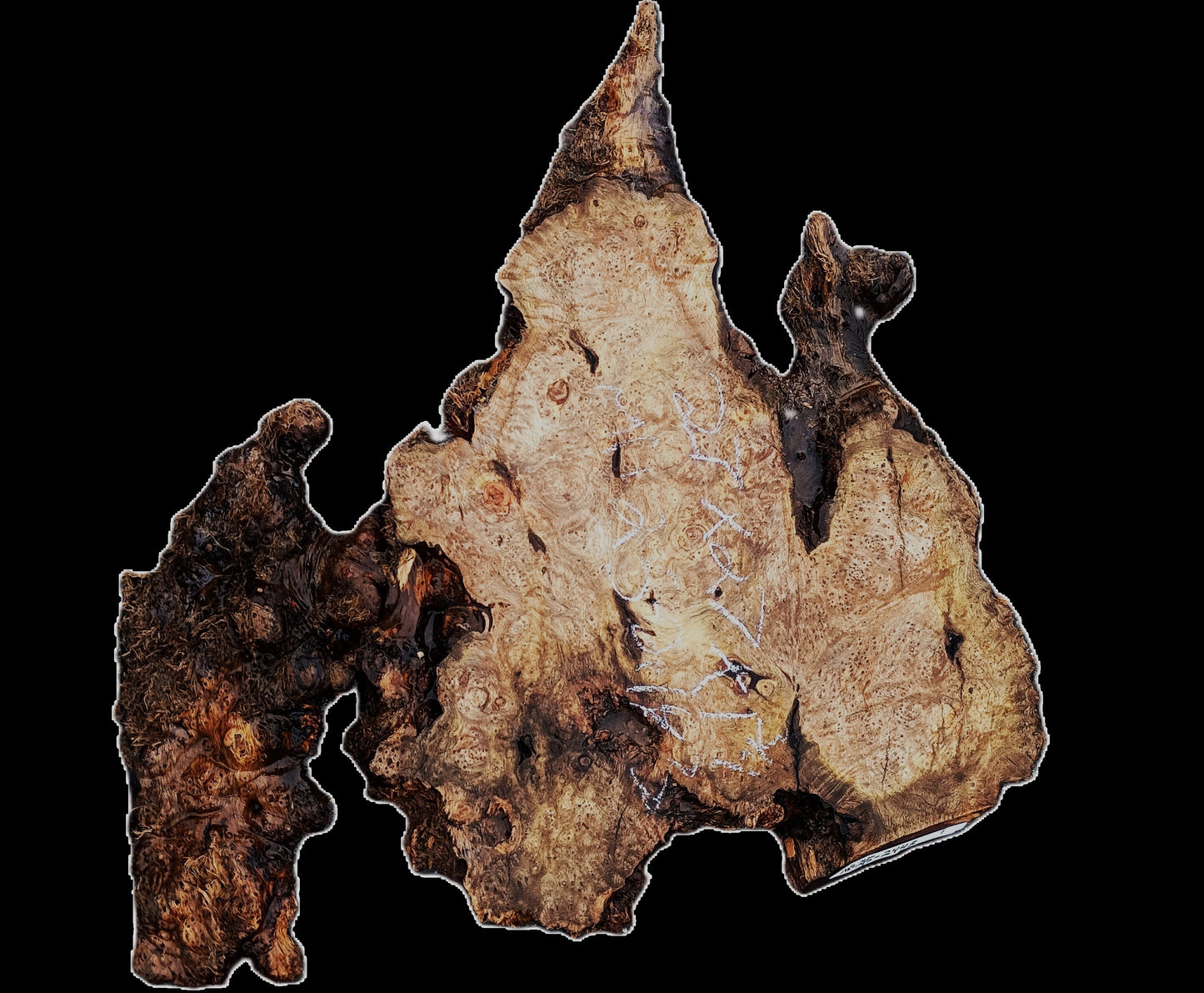 Myrtle Burl Slab | Live Edge | River Table | DIY | Mrt25-2443
