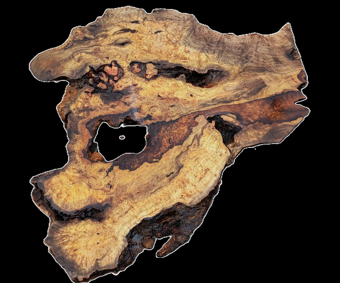 Myrtle Burl Slab | Live Edge | River Table | DIY | Mrt25-2458