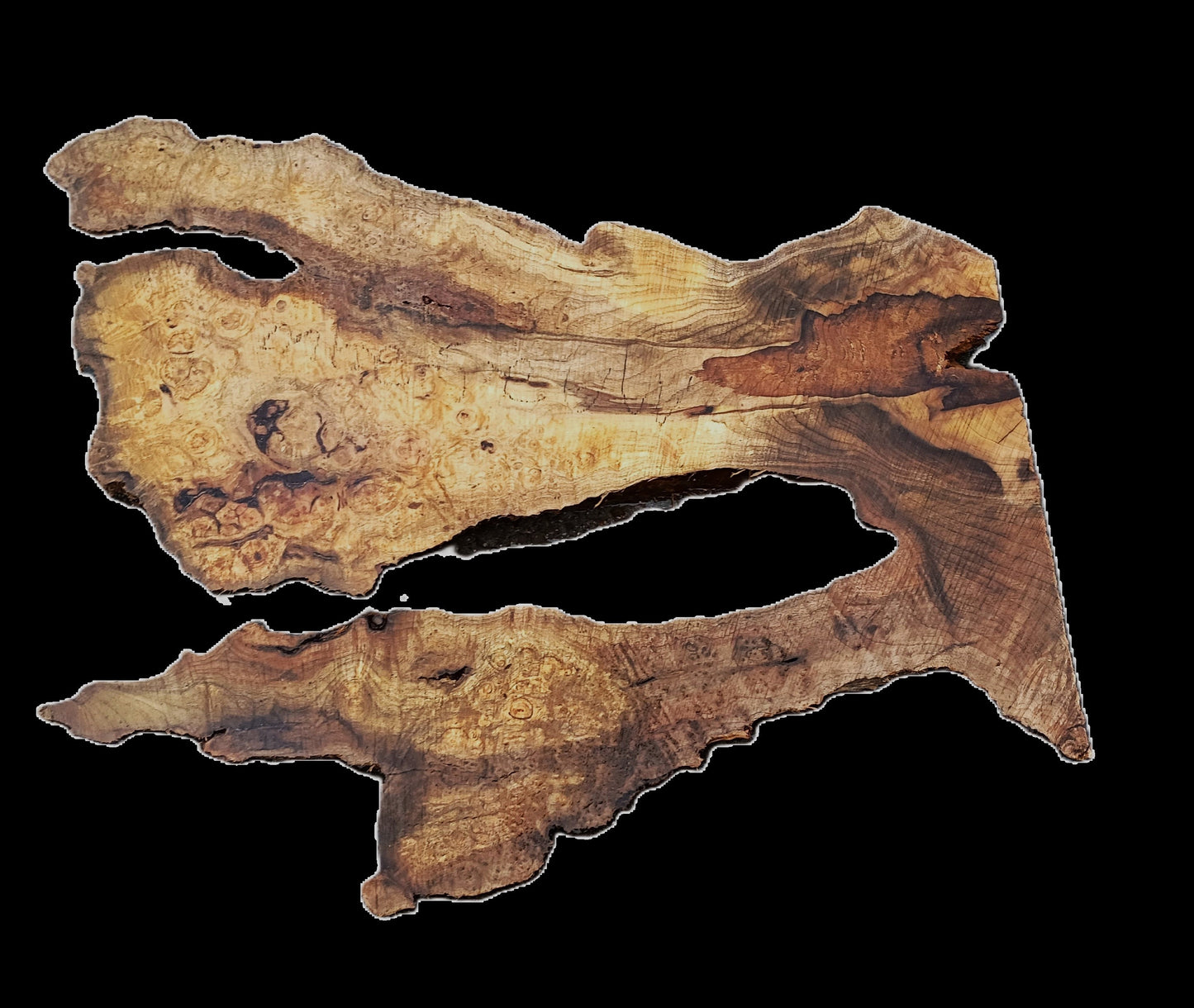 Myrtle Burl Slab | Live Edge | River Table | DIY | Mrt25-2460