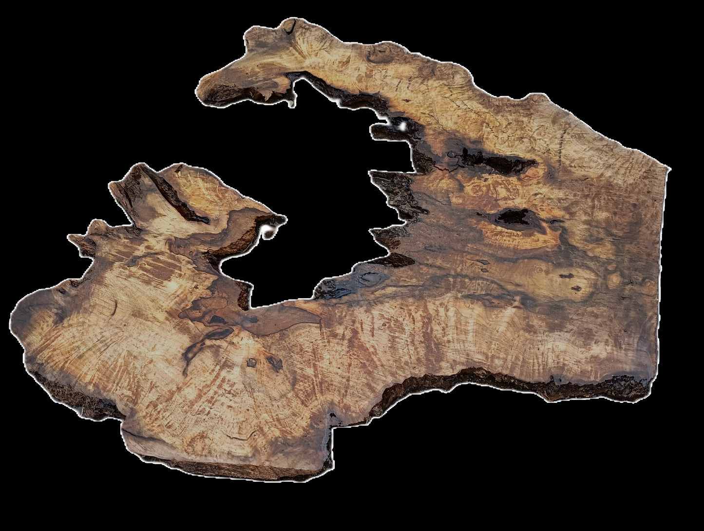 Myrtle Burl Slab | Live Edge | River Table | DIY | Mrt25-2461