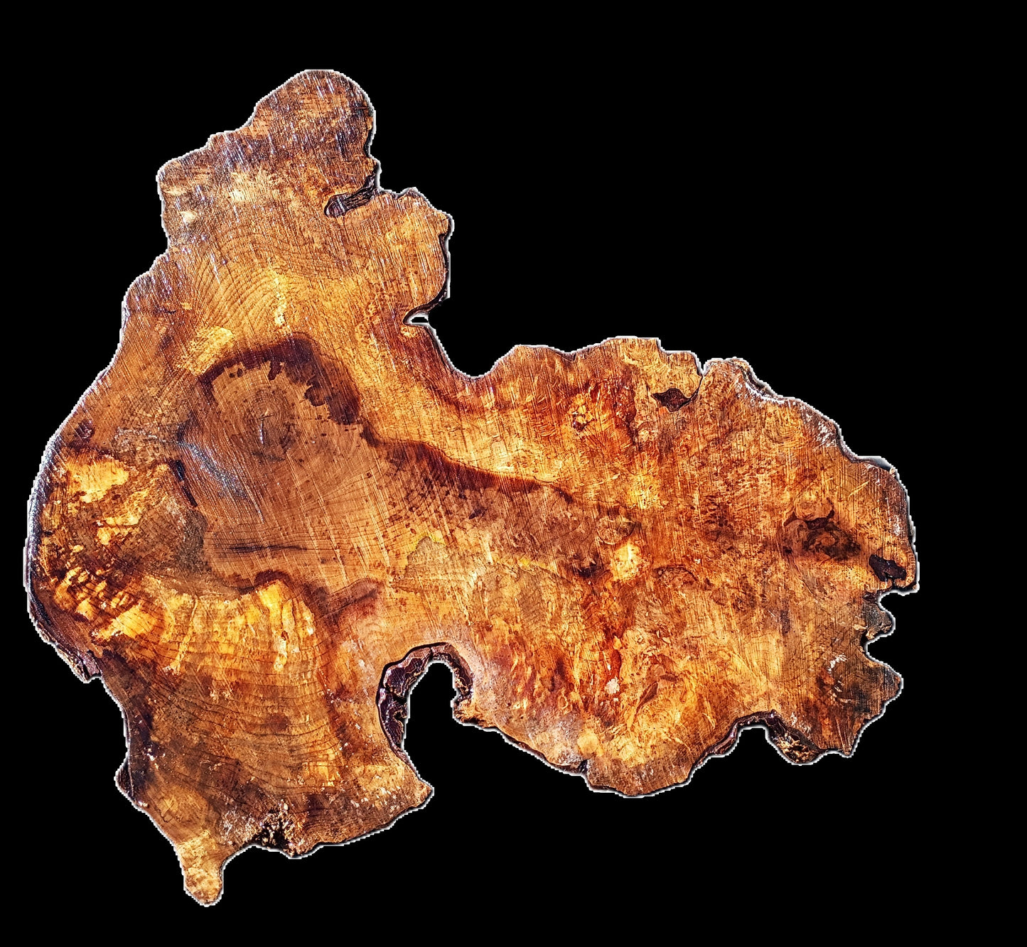 Myrtle Burl Slab | Live Edge | Craftwood | DIY | Mrt25-2469